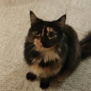 Meet your Posher, Sandra